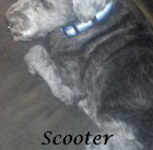 Scooter 2002-2015